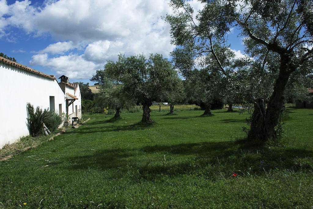 Casa Rural Ecologica Huerta Del Pirata Fuente de Cantos Exterior photo